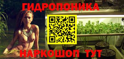 сатива Камышлов