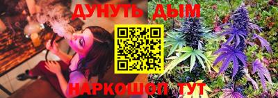 сатива Камышлов