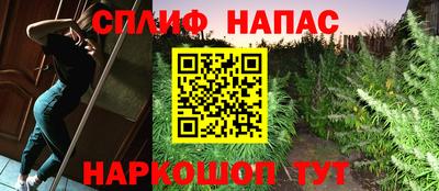 mdpv Кандалакша