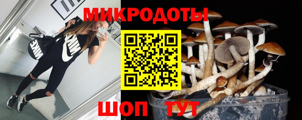 Лесной  Псилоцибиновые грибы MAGIC MUSHROOMS  Вход с VPN  Псилоцибиновые грибы мицелий 