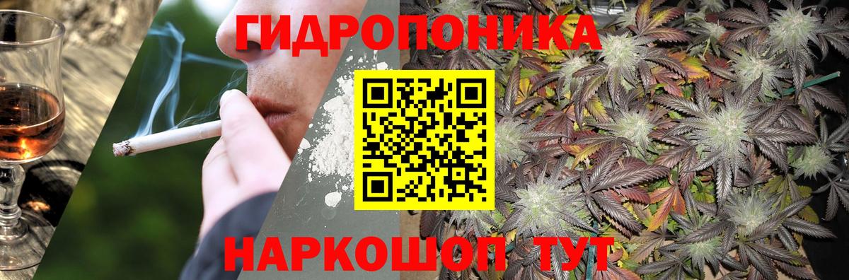 Каннабис индика Лесной